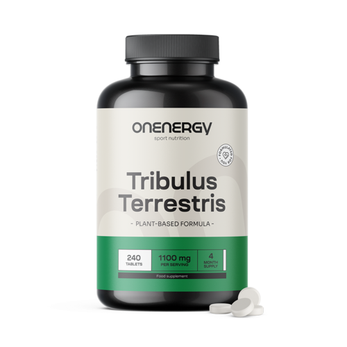 Gewone tribulus (Tribulus) – extract 15:1, 240 tabletten